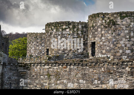 Château de Beaumaris Isle of Anglesey Uk Banque D'Images