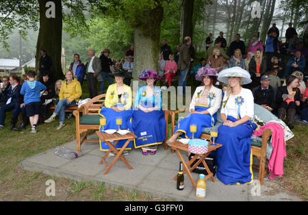 Hawick, Ecosse, Royaume-Uni. 10 juin 2016. Équitation 2016 commun à Hawick. En dehors de 'la cabane' alors que leurs hommes sont à l'intérieur de l'Mesdames profiter de leurs propres boissons. Commune Hawick circonscription est le premier des événements à la frontière chaque année, elle célèbre la capture d'un drapeau anglais à partir d'un groupe d'attaque en 1514 par la jeunesse de Wasilla à Hornshole et l'ancienne tradition de l'équitation les marches ou frontières de la terre commune. Troy : crédit GO Images/Alamy Live News Banque D'Images