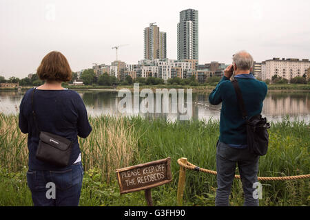 Londres, Royaume-Uni. 11 Juin, 2016. Les observateurs d'avoir une tôt le matin à l'événement Woodberry Wetlands réserve naturelle dans le nord de Londres - un 'Dawn' chorus visite du chantier mené par l'écologiste professionnel Peter Beckenham (pas sur la photo). La marche a pris dans l'ensemble du site qui est situé sur un réservoir de travail, et les amoureux de la nature ont été en mesure de parfaire leur connaissance des oiseaux. L'aube chorus est un phénomène naturel qui se produit au printemps et en été, au cours de laquelle les oiseaux chanter et appeler à l'aube Crédit : Patricia Phillips/Alamy Live News Banque D'Images