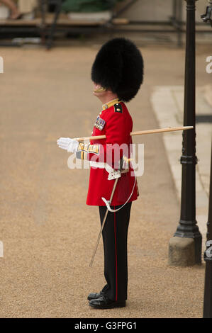 Horse Guards Parade, Londres, Royaume-Uni. 11 juin 2016. Distingués invités et top brass arriver et préparations terminées pour la parade la cérémonie des couleurs. Credit : LondonView/Alamy Live News. Banque D'Images