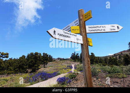 Une photo datée du 25 mai 2016 montre un panneau indiquant les différents sentiers de randonnée dans le parc national de la Caldera de Taburiente sur l'île canarienne de La Palma, Espagne. Photo : Jens Kalaene - AUCUN FIL SERVICE - Banque D'Images