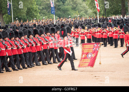 Londres, Royaume-Uni, 11 juin 2016,un salut royal à la parade de la couleur Crédit : Ian Davidson/Alamy Live News Banque D'Images