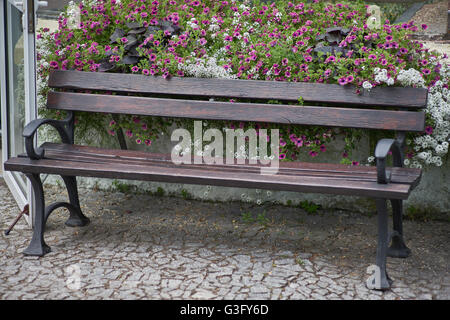 Banc de parc entouré de fleurs Banque D'Images