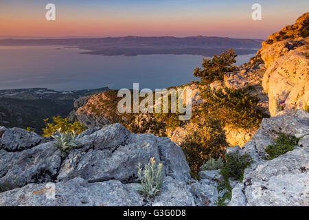 Vue à l'aube depuis le sommet rocheux de Vidova Gora, sur l'île de Brac. Mer Adriatique. Croatie. Plantes, végétation. Europe. Banque D'Images