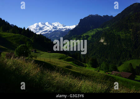 Voir dans Kiental avec Mt. Blüemlisalp dans dos, Alpes Bernoises, Suisse Banque D'Images