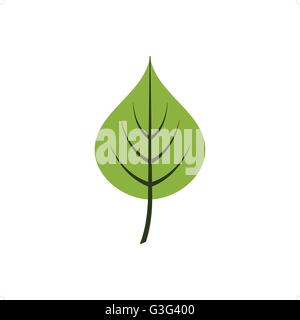 Cartoon style linden leaf vector illustration isolé sur fond blanc. Illustration de Vecteur