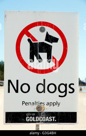 Inscrivez-vous informant que les chiens ne sont pas admis sur cette section de plage sur la Gold Coast en Australie Banque D'Images