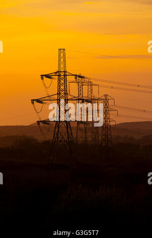 Les lignes électriques qui se profile ou un poteau sur le transport d'énergie électrique Halkyn Mountain au nord du Pays de Galles, Royaume-Uni Banque D'Images