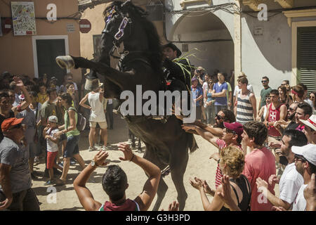 Ciutadella De Menorca, Baléares, Espagne. 24 Juin, 2016. Les spectateurs tentent de toucher la poitrine du cheval pour la bonne chance comme un 'caixer" (cheval-cavalier) se dresse le matin festivités sur 'Sant Joan" (Saint Jean) à ciutadella de menorca © Matthias Rickenbach/ZUMA/Alamy Fil Live News Banque D'Images