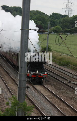 Pont ferroviaire de Millbrook, Bedfordshire, Royaume-Uni. 25 Juin, 2016. The Flying Scotman sur exécuter à partir de Londres, Victoria Station à New York. Le moteur de vapeur comme il se dirige vers le bas la ligne à Bedford Park. Crédit : Caroline hamilton/Alamy Live News Banque D'Images