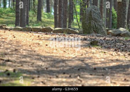 Wesiory, Pologne 25 avril, juin 2016 Très chaud et ensoleillé en Pologne. La température atteint 35 degrés Celsius. Les visites de personnes Wesiory cercles de pierres mégalithiques de cacher à l'ombre des arbres. Cercles de pierres mégalithiques Wesiory et lieux de sépulture sont cacher profondément dans la forêt. Ce lieu a été créé par les goths probablement dans la 1re à la 3e siècle. Il y a trois cercles de pierre et une partie de la quatrième et 20 des castrats. Le diamètre du plus grand cercle est de 26 mètres et est prévue avec des pierres d'une hauteur d'environ 1,5 m. Au milieu il y a peu de stèles de pierre Crédit : Michal Fludra/Alamy Live News Banque D'Images