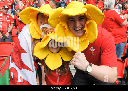 Paris, France. 25 Juin, 2016. Championnats d'Europe de football de l'UEFA. 16 dernier round, le Pays de Galles et Irlande du Nord. Crédit : fans gallois Plus Sport Action Images/Alamy Live News Banque D'Images