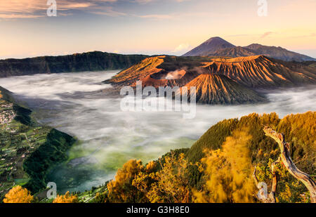 La vue du Mont Bromo à partir du point de vue Penanjakan, Le Mont Bromo, Parc National de l'Est de Java, Indonésie. Banque D'Images