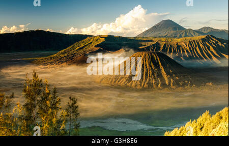 La vue du Mont Bromo à partir du point de vue Penanjakan, Le Mont Bromo, Parc National de l'Est de Java, Indonésie. Banque D'Images