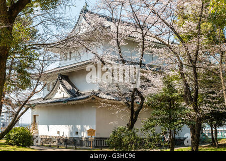 North West Tower, Inui, également connu sous le nom de Kiyosu tourelle, un niveau 3 de yagura Château de Nagoya au Japon vu à travers les fleurs de cerisier au printemps. Banque D'Images