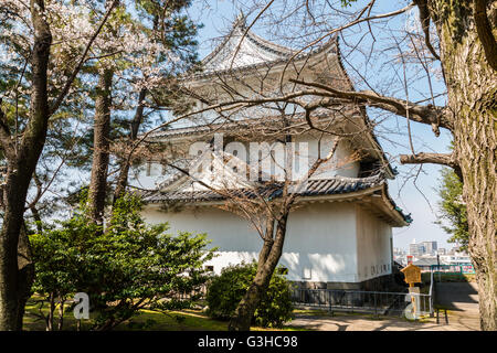 North West Tower, Inui, également connu sous le nom de Kiyosu tourelle, un niveau 3 de yagura Château de Nagoya au Japon vu à travers les fleurs de cerisier au printemps. Banque D'Images