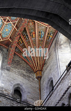 Les voûtes peintes en couleur le plafond de la cathédrale de St David's, Pembrokeshire, Pays de Galles de l'Ouest. Banque D'Images