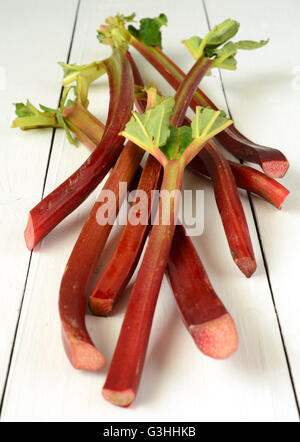 Bouquet de tiges de rhubarbe bio a Banque D'Images