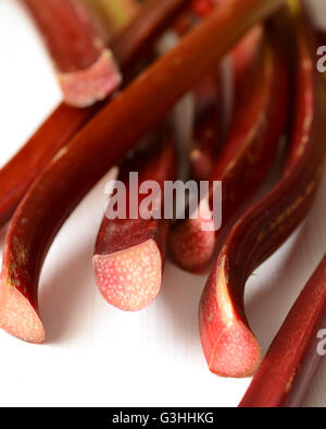 Bouquet de tiges de rhubarbe bio a Banque D'Images