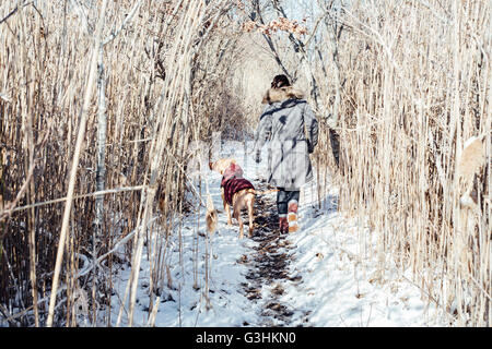 Full Length rear view of woman with dog walking on snowy landscape Banque D'Images