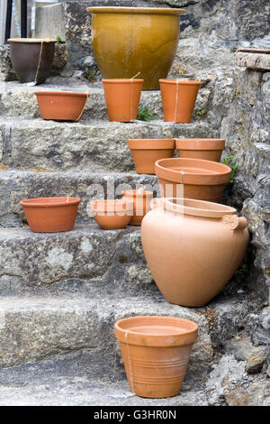 Pots de fleurs en terre cuite sur les marches de pierre Banque D'Images