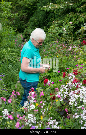 Une dame mature tenant une tasse de thé promenades autour d'un jardin en été. Elle se tient à admirer les fleurs. Banque D'Images