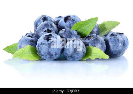 Bleuets bleuets myrtilles myrtille baies Fruits frais isolé sur fond blanc Banque D'Images