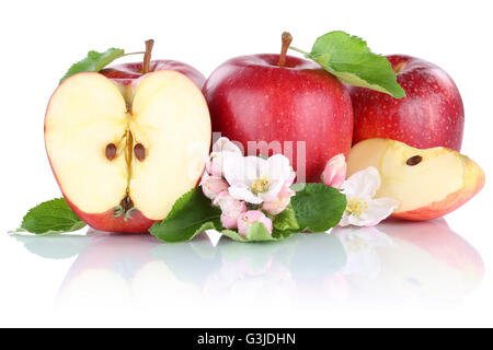 Rouge pomme pommes fruits fruits tranche la moitié isolé sur fond blanc Banque D'Images