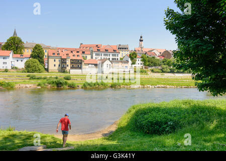 Vue de la vieille ville à la rivière Regen, Allemagne, Bavière, Bayern, Oberpfalz, Haut-Palatinat, Cham Banque D'Images