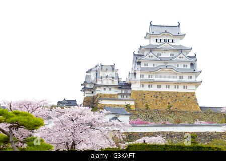 Château de Himeji et sakura blossom avec ciel blanc à Himeji, Japon Banque D'Images