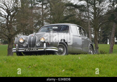 1965 Jaguar Mk 2 à Chateau Impney, Droitwich, Worcestershire Banque D'Images