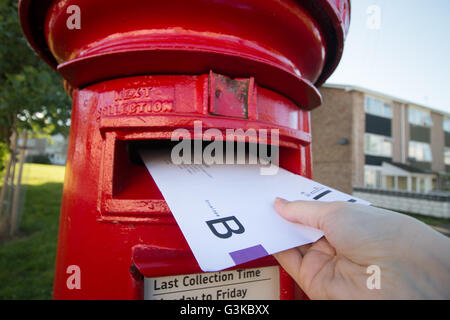 Un vote postal britannique étant mis dans un post box. Banque D'Images