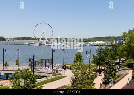 La Capitale - Roue National Harbor, Maryland USA Banque D'Images