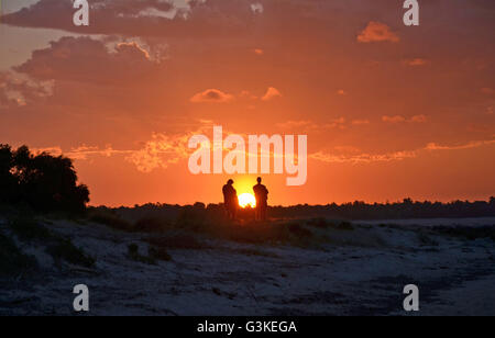 Deux couples en regardant le coucher du soleil sur la plage Banque D'Images