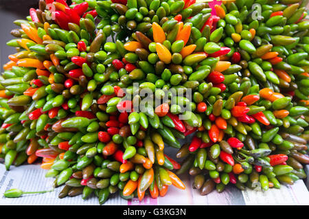 Bande de poivrons verts et rouges chili at market Banque D'Images