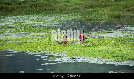 Les garçons à la pêche dans l'lac de Pokhara Banque D'Images