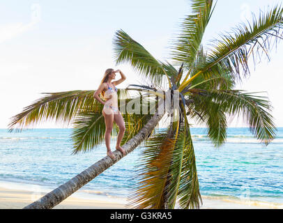Jeune femme debout à partir de palm tree at beach, la République dominicaine, les Caraïbes Banque D'Images