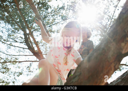 Boy and girl climbing tree Banque D'Images