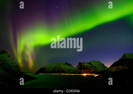 Aurora Borealis, Northern Lights sur Bergsbotn, Senja, Norvège Banque D'Images
