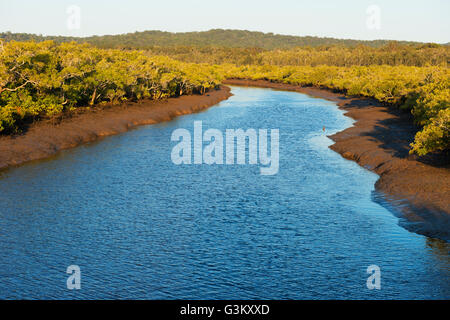 River wanggoolba creek, Fraser island, Queensland, Australie Banque D'Images
