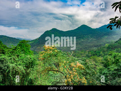 Paysage de forêt tropicale, montagnes boisées près de Tat Cascades de Kuang Si, Luang Prabang, Laos Banque D'Images