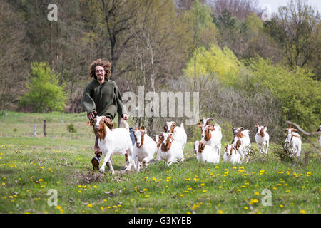 Jeune homme courir avec troupeau de chèvres, chèvre Boer (Capra aegagrus hircus), Potsdam, Brandebourg, Allemagne Banque D'Images