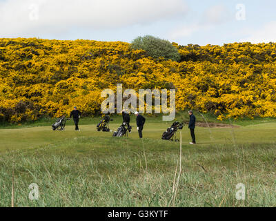 Les golfeurs masculins sur Royal Dornoch Golf Sutherland Highlands écossais sur la rive nord du Dornoch Firth belle météo jour Mai Banque D'Images