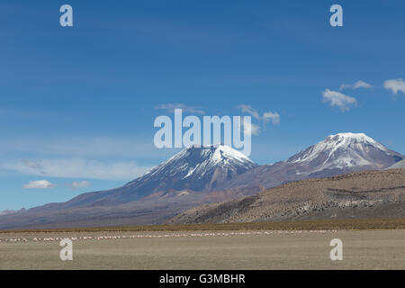 Les volcans dans le parc national de Sajama en Bolivie. Banque D'Images