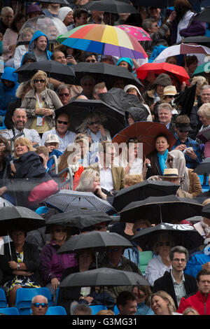 Le Queen's Club de Londres, Royaume-Uni. 13 juin 2016. Championnats gazon commencer au west London club aujourd'hui au 19 juin. Le premier match au jour 1, Richard Gasquet (FRA) vs Steve Johnson (USA) est suspendue en raison de la pluie dans les 5 minutes des joueurs arrivant sur cour. Credit : sportsimages/Alamy Live News. Banque D'Images