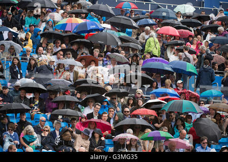 Le Queen's Club de Londres, Royaume-Uni. 13 juin 2016. Championnats gazon commencer au west London club aujourd'hui au 19 juin. Le premier match au jour 1, Richard Gasquet (FRA) vs Steve Johnson (USA) est suspendue en raison de la pluie dans les 5 minutes des joueurs arrivant sur cour. Credit : sportsimages/Alamy Live News. Banque D'Images