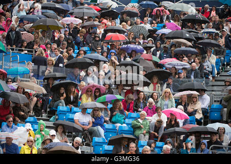 Le Queen's Club de Londres, Royaume-Uni. 13 juin 2016. Championnats gazon commencer au west London club aujourd'hui au 19 juin. Le premier match au jour 1, Richard Gasquet (FRA) vs Steve Johnson (USA) est suspendue en raison de la pluie dans les 5 minutes des joueurs arrivant sur cour. Credit : sportsimages/Alamy Live News. Banque D'Images