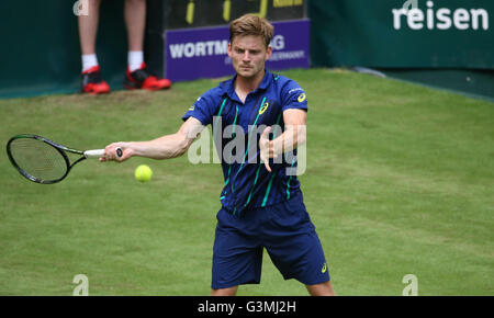 Halle, Allemagne. 13 Juin, 2016. David Goffin de Belgique en action contre Borna Coric de Croatie lors de son premier match au tournoi de tennis ATP à Halle, en Allemagne, le 13 juin 2016. Photo : FRISO GENTSCH/dpa/Alamy Live News Banque D'Images