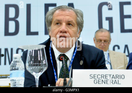 Santo Domingo, République dominicaine. 13 Juin, 2016. Image fournie par l'Organisation des États américains (OEA) montre Secrétaire général de l'OEA Luis Almagro assister à une réunion avec des représentants de l'ouverture de la 46e session ordinaire de l'Assemblée générale de l'OEA, à Santo Domingo, capitale de la République dominicaine, le 13 juin 2016. Credit : Juan Manuel Herrera/SV/Xinhua/Alamy Live News Banque D'Images