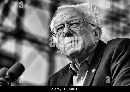 Irvine, Californie, USA. 22 mai, 2016. Bien qu'il était politique Dark Horse, BERNIE Sanders est devenu candidat à la présidence de l'un des moteurs de la démocratie américaine. Le 22 mai 2016. Irvine, Californie © Gabriel Romero/ZUMA/Alamy Fil Live News Banque D'Images